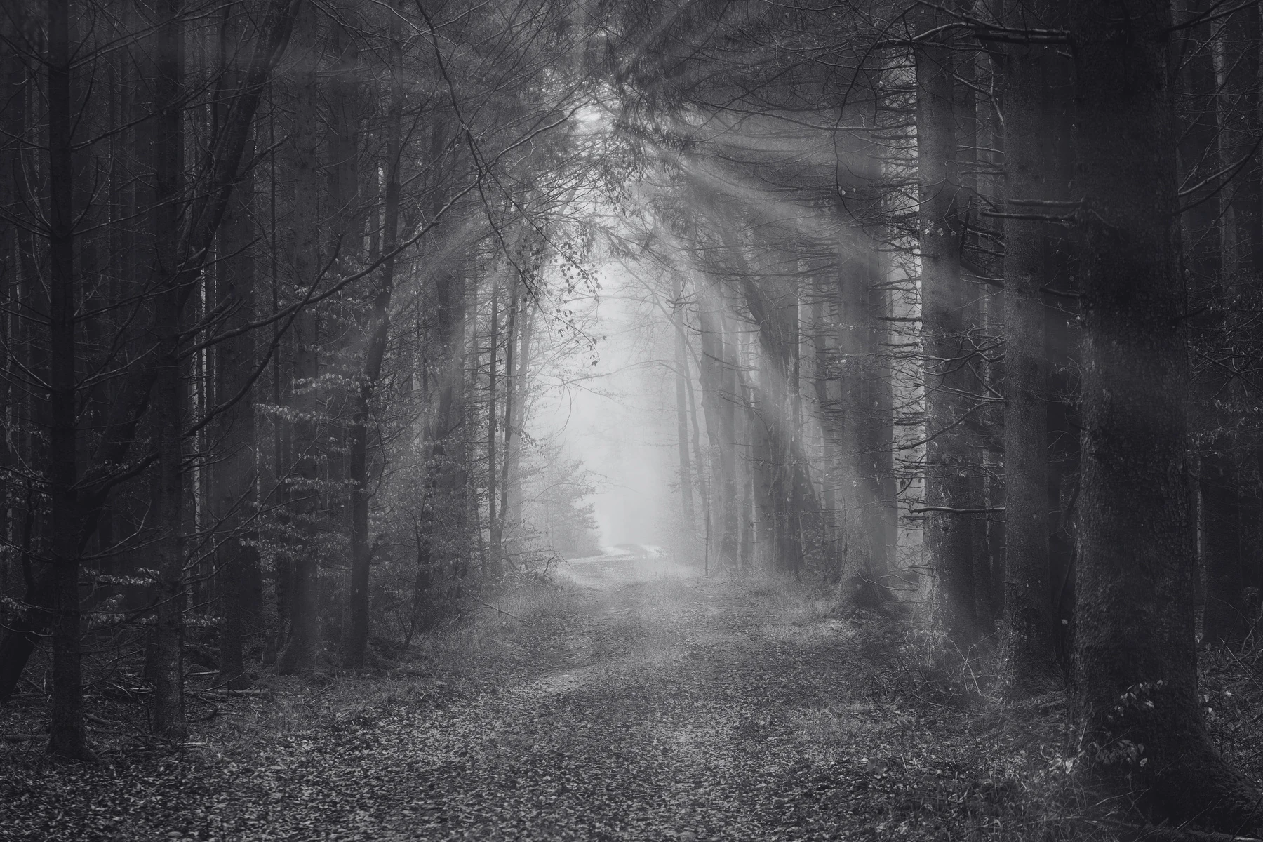 Embracing the Season (Without Losing Yourself)